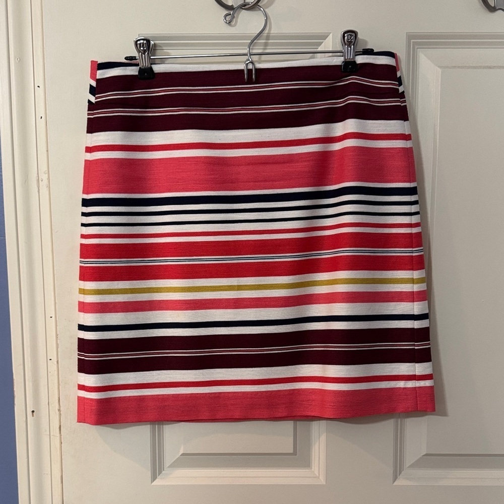 Striped Multicolor Women's Skirt